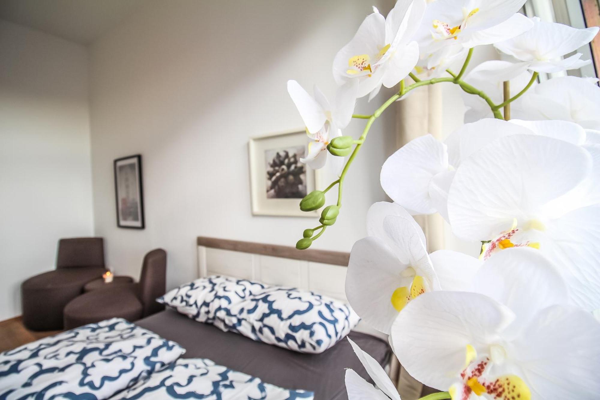 Disc Cozy Rooms In Liesing 비엔나 외부 사진